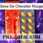 Red Knight Sex new01